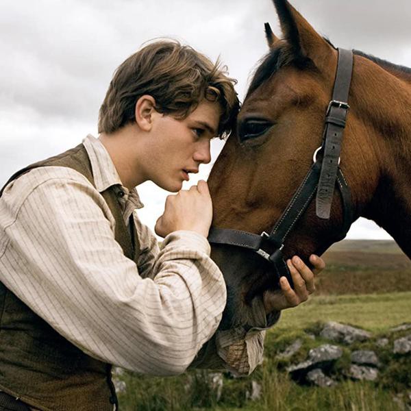 35 Horse Movies to Add to Your Watch List, Stat