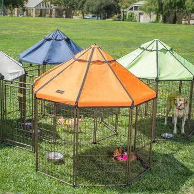 14 Best Tractor Supply Dog Kennels You Can Get