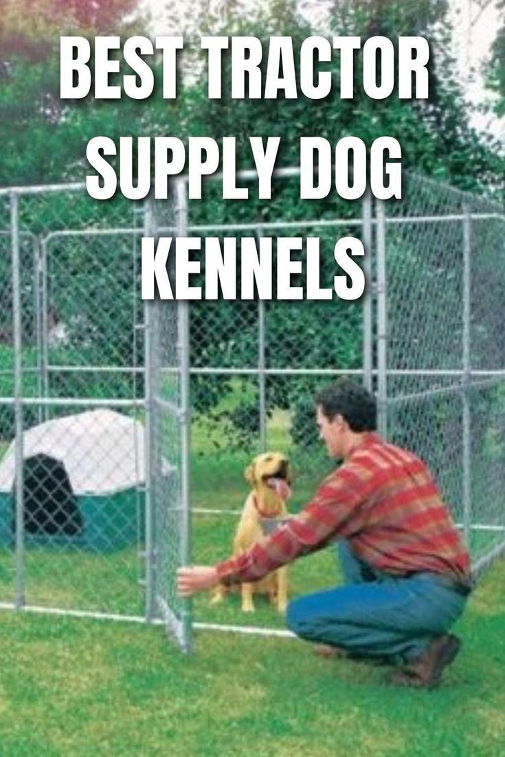 Tractor supply chain link best sale dog kennel