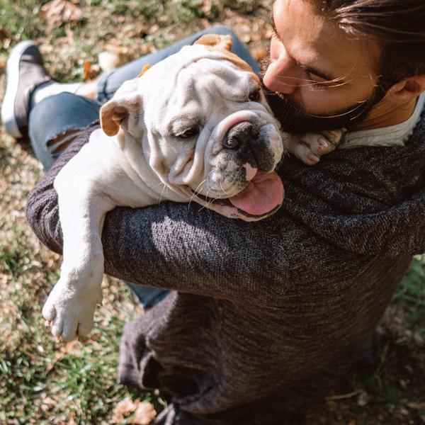 These Are the Friendliest Dog Breeds