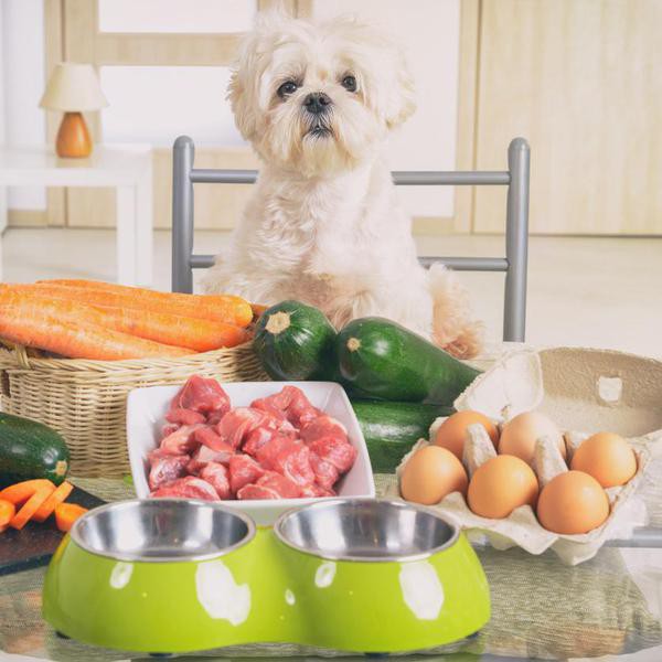 Homemade Dog Food Recipes You Could Eat, Too