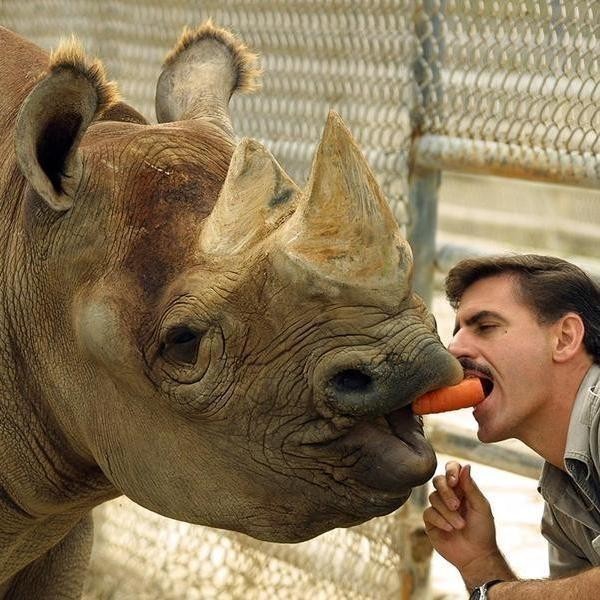 Meet the 25 Most Famous Zoo Animals of All Time