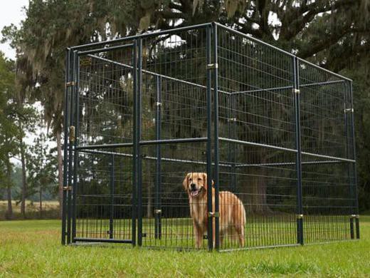 14 Best Tractor Supply Dog Kennels You 