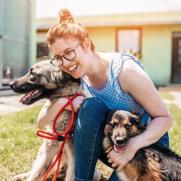 Young adult woman working and playing with adorable dogs in animal shelter