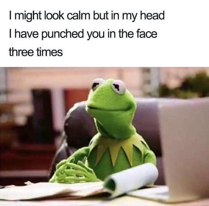 Funny Kermit the Frog Memes From Your Favorite Animal Puppet